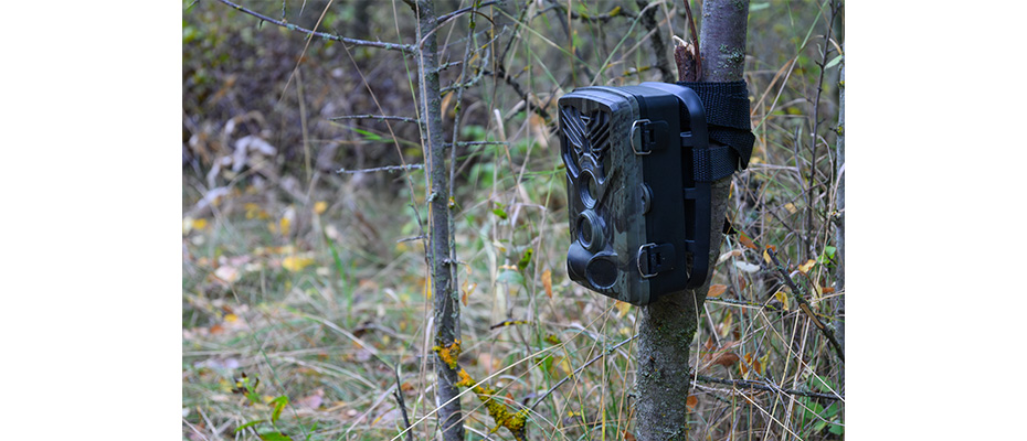 Fototrappola milgior prezzo qualitai autunno inverno primavera estate 2025 2026