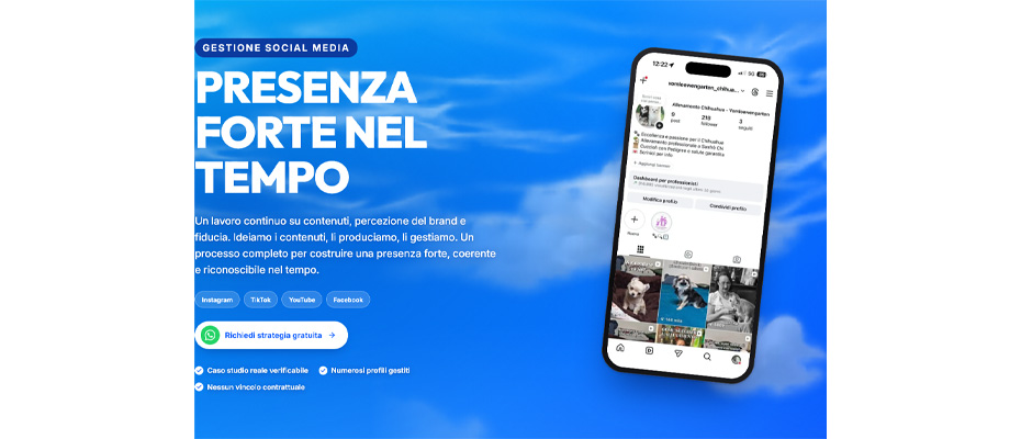 Gestione social